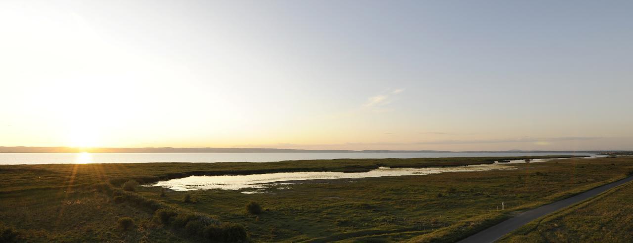 Gaestehaus Ringbauer Podersdorf am See Dış mekan fotoğraf